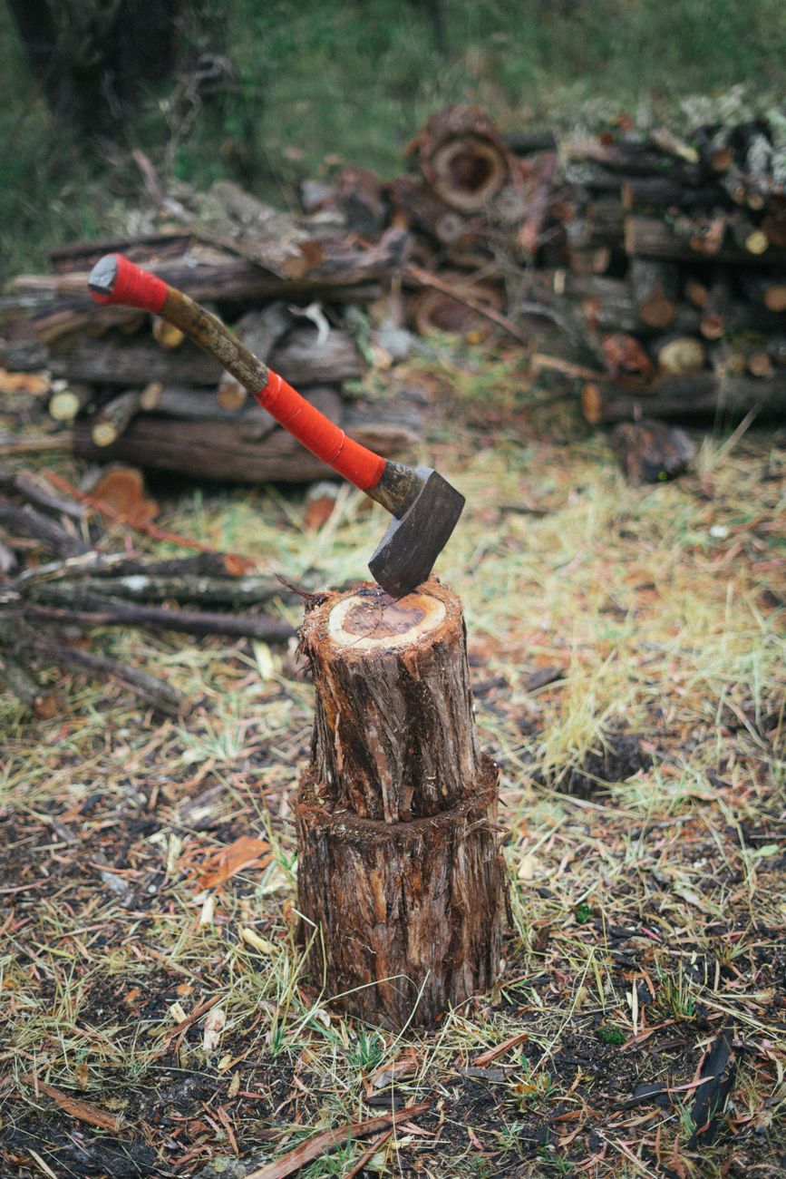 Axe embedded in wood stump in a forest setting with stacked logs in background.