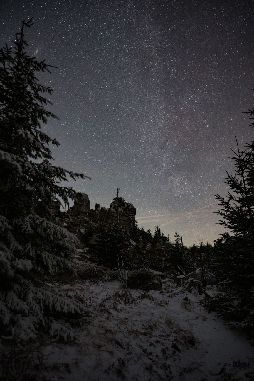 A breathtaking view of a star-filled night sky over a snowy forest landscape, showcasing nature's beauty.